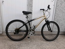 Ladies mountain bike