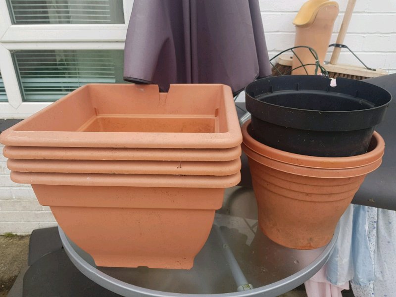 Plant pots for sale in Llanrumney, Cardiff Gumtree
