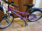 Girls Apollo zest 20&quot; bike