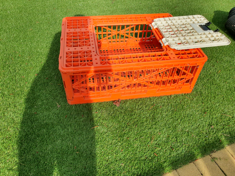Poultry Crate for sale in UK 45 used Poultry Crates