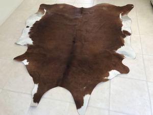 Cow Hide Floor Rug Gumtree Australia Gold Coast North Gumtree