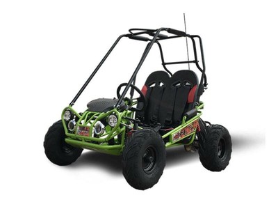 2019 Trailmaster Mini XRX-R Green or Pink