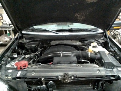 Picture 4