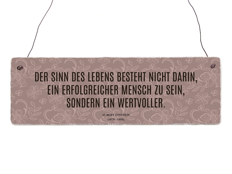 INTERLUXE Holzschild DER SINN DES LEBENS Albert Einstein Geschenk Shabby Zitat
