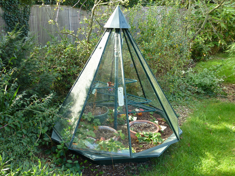 Unique, Growmate Pyramid Greenhouse, in Newmarket, Suffolk Gumtree