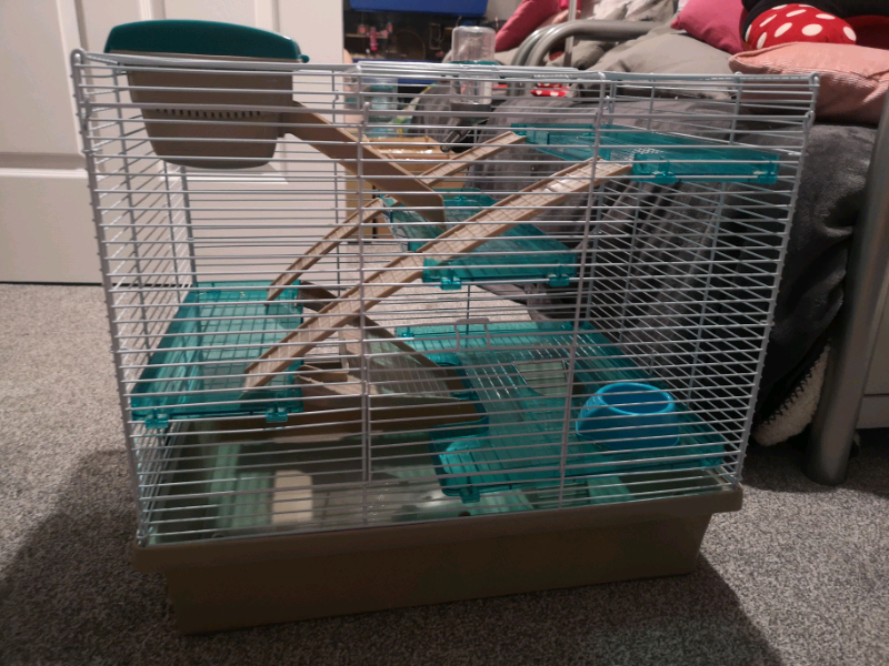 Rosewood Pico XL Hamster Small Animal Cage in Glenrothes, Fife Gumtree