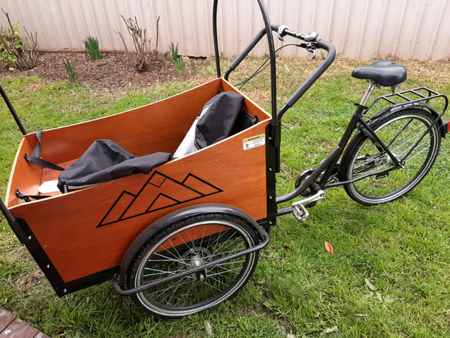 outcross fat tire electric bike costco