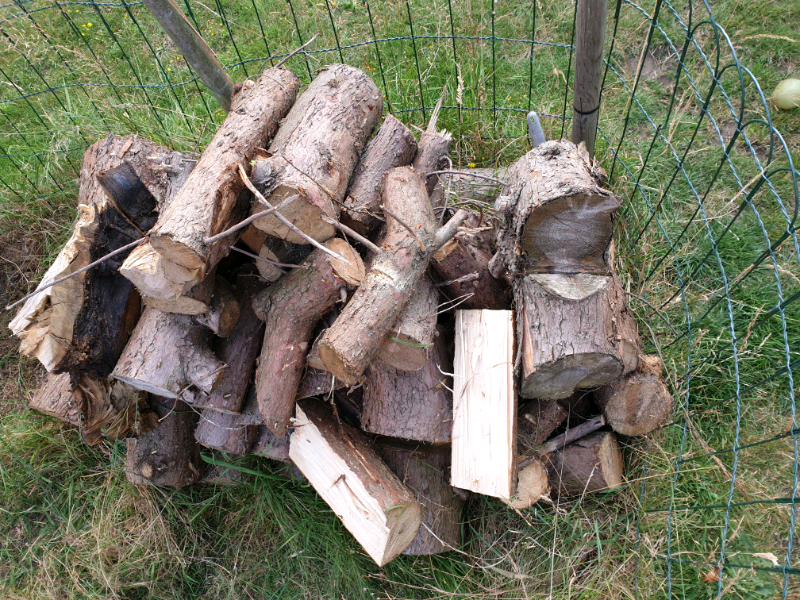 Firewood in Ipswich, Suffolk Gumtree
