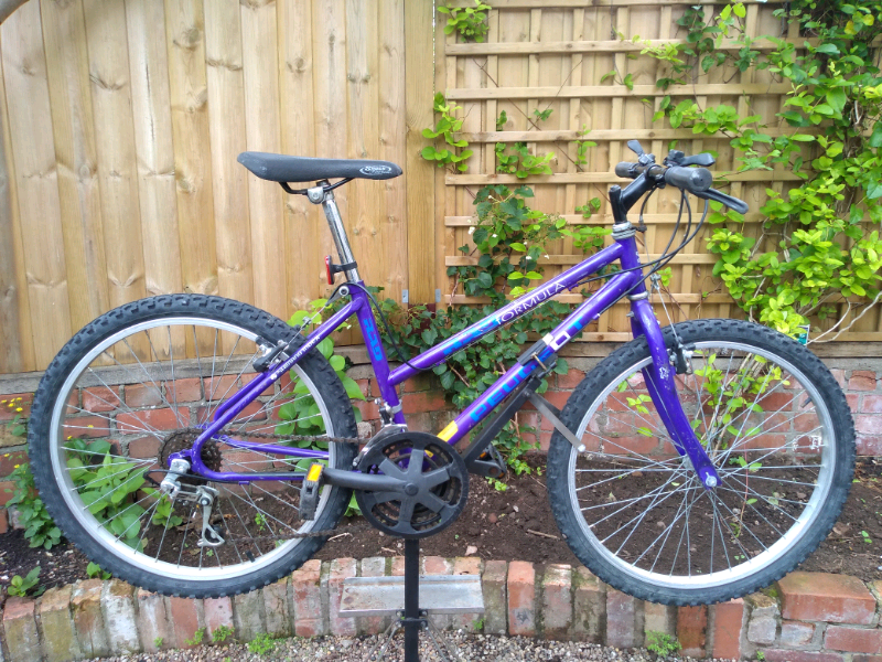 bike bristol gumtree