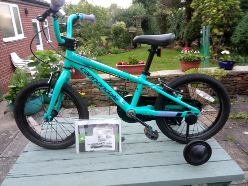 stiletto chopper bike