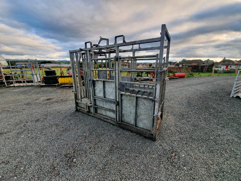 Cattle Crush for sale in UK | 26 used Cattle Crushs