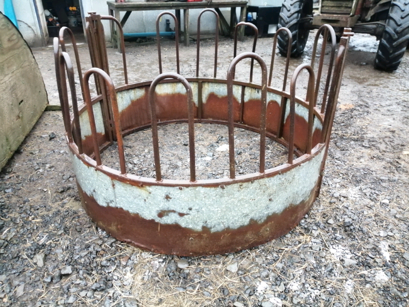 Cattle Horns for sale in UK 32 secondhand Cattle Horns