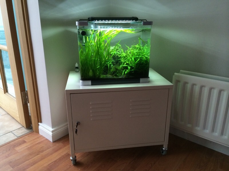 Aquarium Unterschrank Ikea. aquarium unterschrank ikea malm. aquarium ... - $ 86