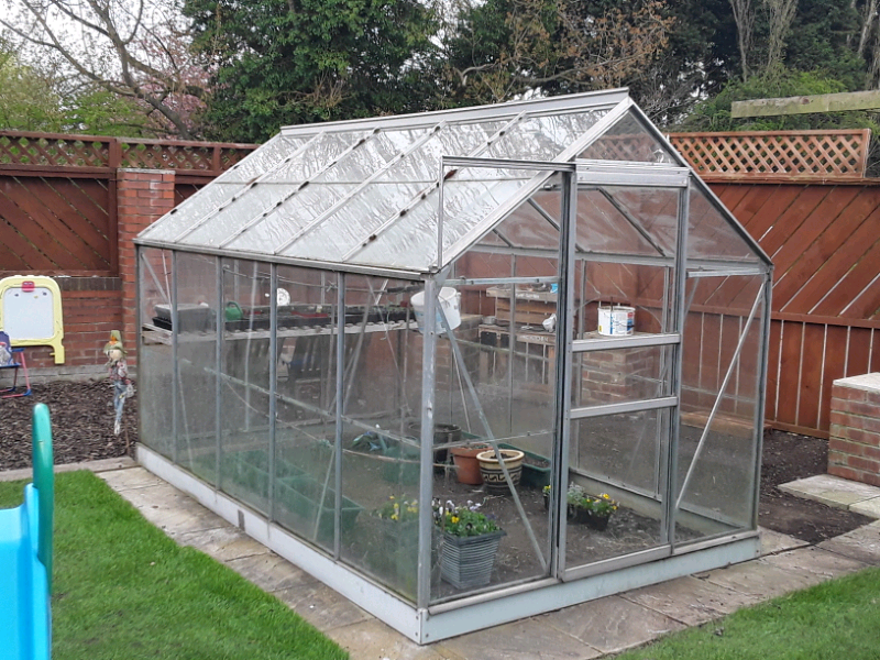 Greenhouse 6ft x 10 ft large in Hull, East Yorkshire Gumtree
