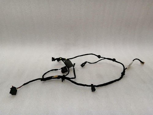 PORSCHE TAYCAN 9J Rear Door Wiring 9J1971120AG Hinten Tur Kabelbaum