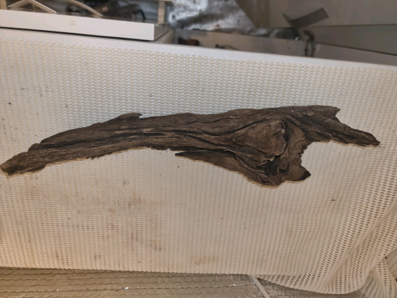 Bogwood for sale in UK 37 secondhand Bogwoods