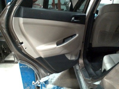 Driver TUCSON    2017 Door Trim Panel, Rear 380379