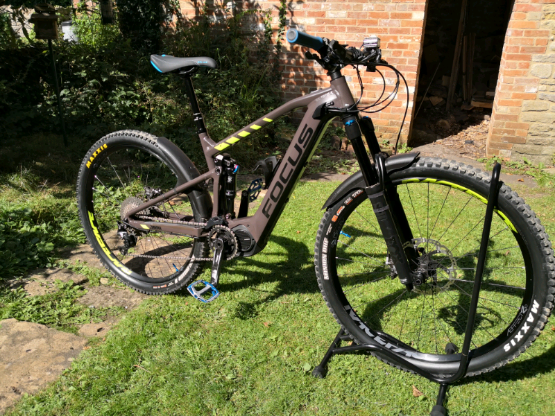 where to buy focus bikes