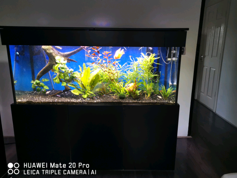 Large 600L aquarium in Ingleby Barwick, County Durham Gumtree
