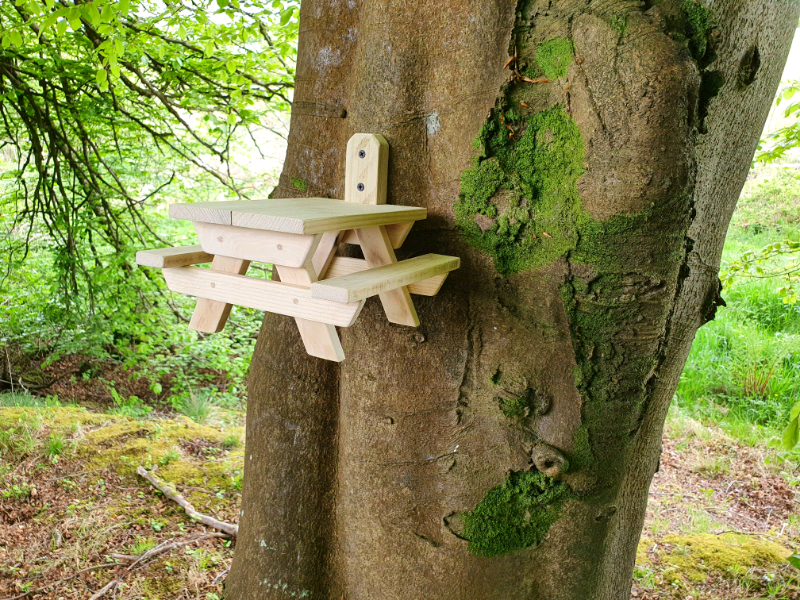 Squirrel🐿, Bird🐦 Feeder Picnic Table. in Castlereagh 