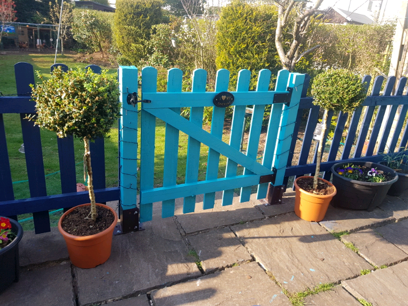 Lollipop Tree for sale in UK 67 used Lollipop Trees