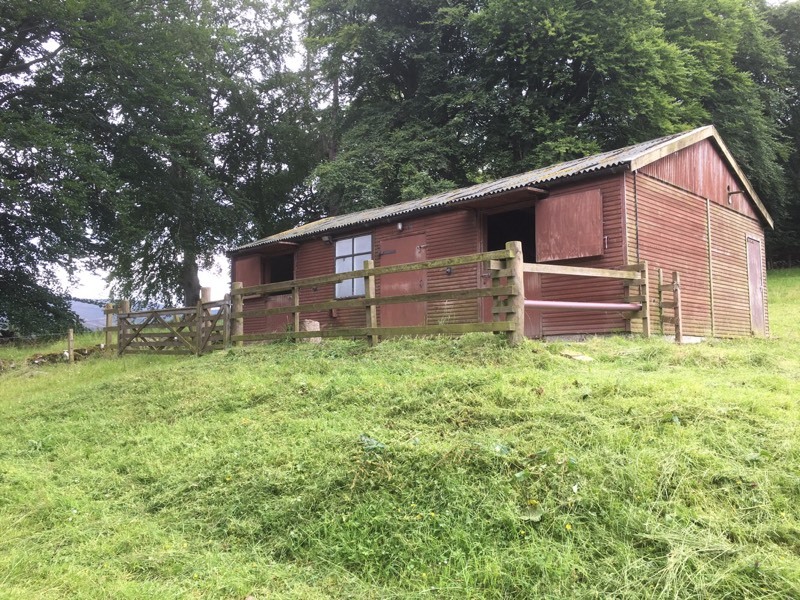 Stables and field for rent in Peebles, Scottish Borders Gumtree