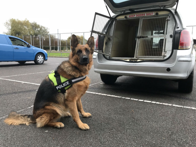 2010 Vauxhall Astravan 1.9CDTi Ex Police Dog Van K9 UNIT 2 Kennels