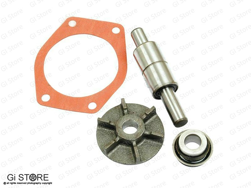 WATER PUMP REPAIR KIT A3.152, AD3.152 AT3.152 For Massey Ferguson MF-35X,135,240