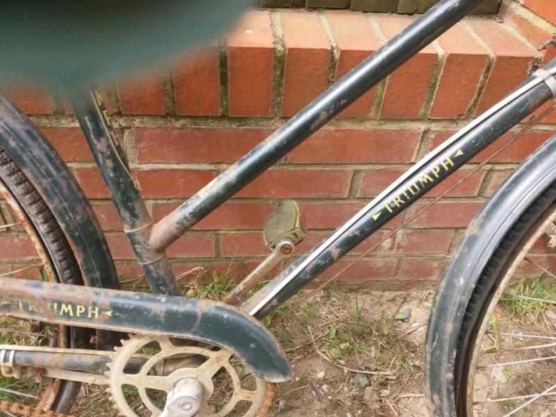 triumph pedal bike