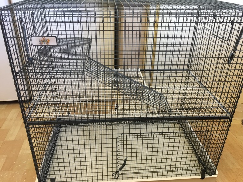 Rat/Degu/Chinchilla Double Storey Wire Rodent Cage in Exeter, Devon