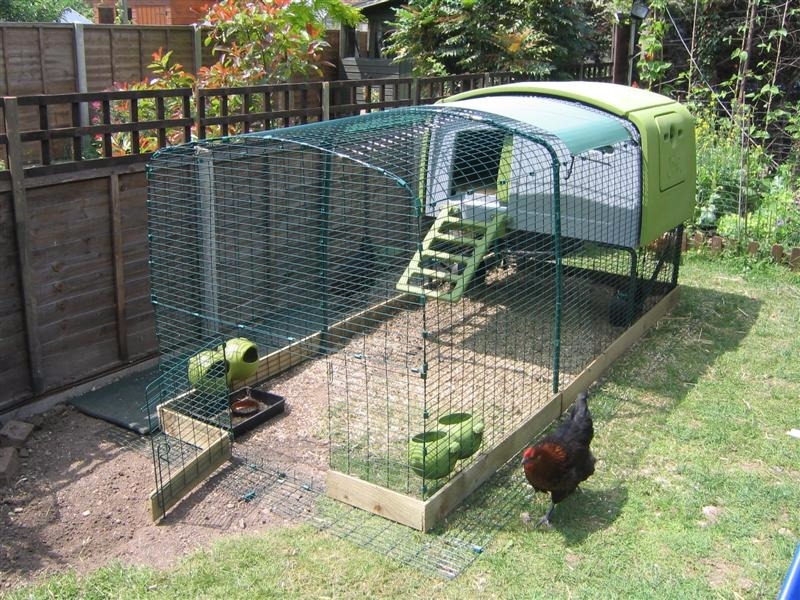 Omlet Eglu cube chicken coop with extended run in Leyland, Lancashire