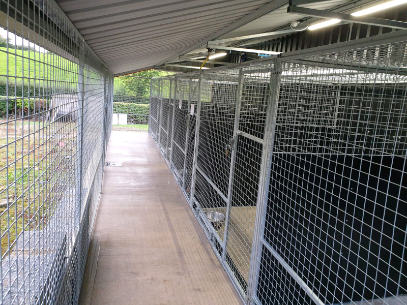 New multi pen cages Galvanised mesh panel Dog pens and enclosures in Armagh, County Armagh
