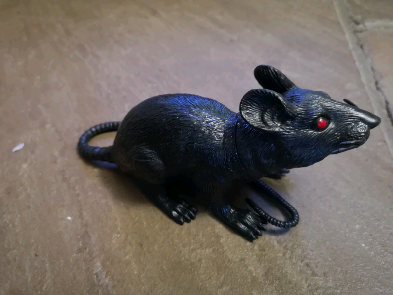 Plastic Rats Toys for sale in UK View 60 bargains