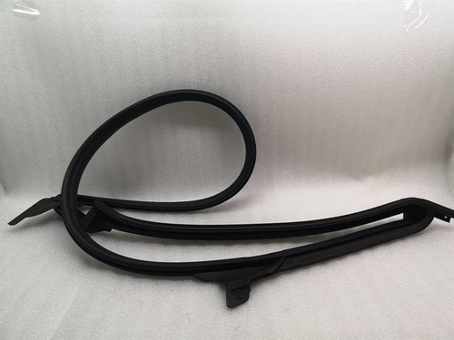 TESLA MODEL 3 LONG RANGE RRH Door Seal 1090510-00-N Türdichtungen Hinten Rechts