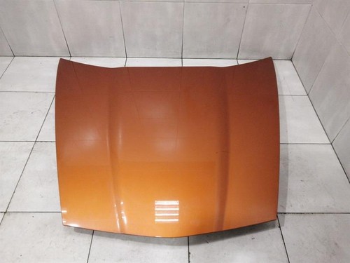 CHEVROLET CORVETTE C6 Bonnet 25805421 Motorhaube