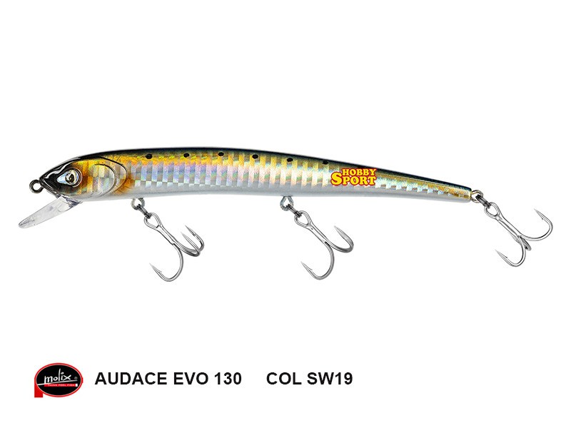 MOLIX AUDACE EVO 130 col SW19 REAL SARDA 15 GR SLOW SINKING