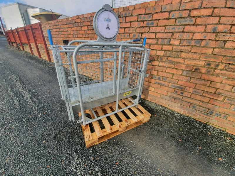 Sheep Weighing Scales for sale in UK 65 used Sheep Weighing Scales