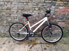 Ladies reflex mountain bike 