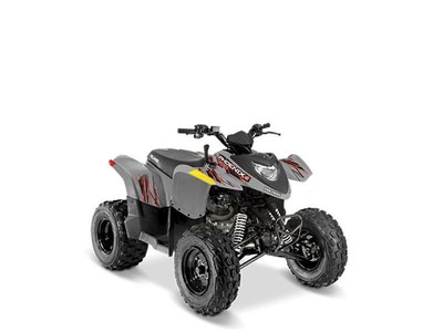 2019 Polaris® Phoenix® 200, Avalanche Gray with 1 available now!