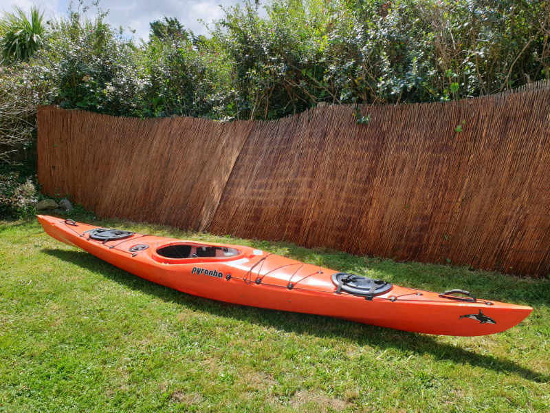 kayak with killer whales, killer whale kayaking, kayak