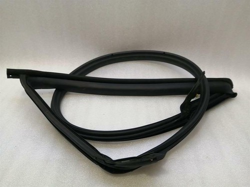 TESLA MODEL 3 Rear Left Door Seal 1090511-00-L Türdichtungen Hinten Links