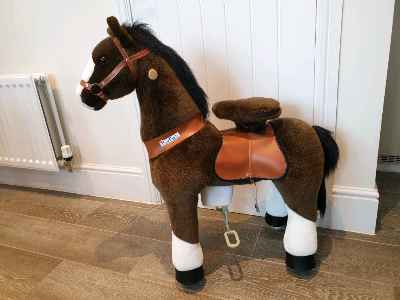 the pony cycle