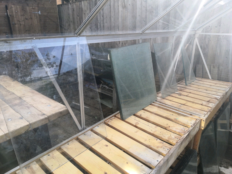 Greenhouse Glass various sizes in Charlton Kings, Gloucestershire