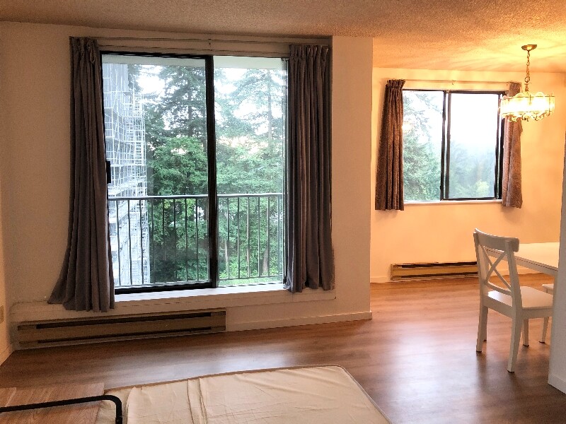 New Apartments For Rent Near Lougheed Mall with Best Design