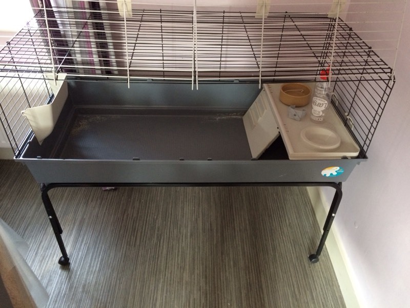 Indoor rabbit cage and stand in Anstey, Leicestershire Gumtree