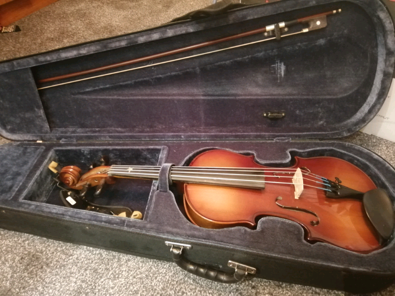 Viola for sale in Abertillery, Blaenau Gwent Gumtree