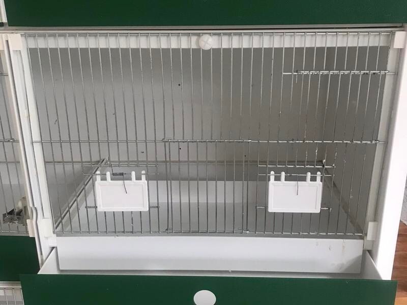 Canary Breeding Cages for sale in UK | 42 used Canary Breeding Cages