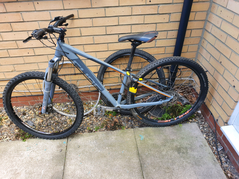 fox christmas blow up