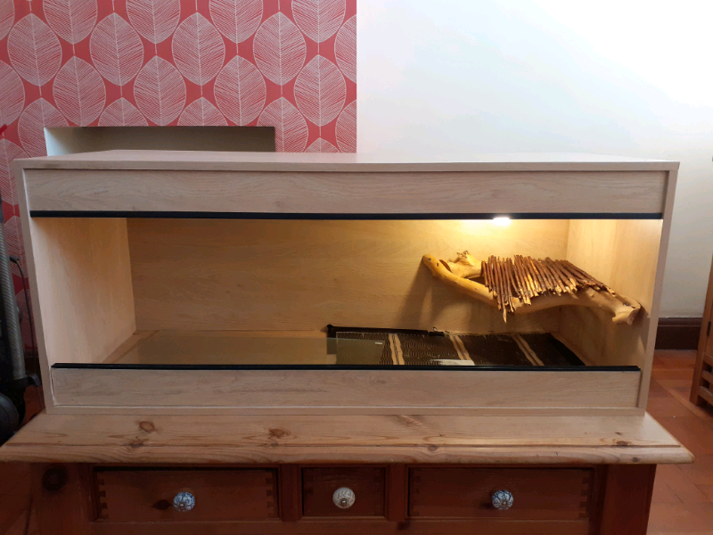 Reptile Vivarium (used) in Fairwater, Cardiff Gumtree