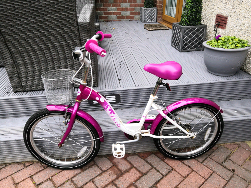 Girls Paris bike. Can deliver. in Coatbridge, North Lanarkshire Gumtree